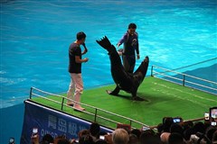 山东青岛 石老人海滨浴场、海洋极地世界、中山公园 2日游【低价格 高体验】