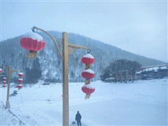 黑龙江哈尔滨 亚布力滑雪、马拉爬犁、童话雪乡、梦幻家园、中央大街、冰雪世界 双飞5天【2-8人小拼团，裹着貂露着腰】