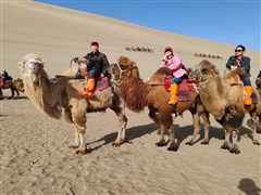 甘肃兰州 青海湖、茶卡、翡翠湖、水上雅丹、鸣沙山月牙泉、莫高窟、嘉峪关城楼、张掖七彩丹霞、祁连草原 8/10日游【25人精品团，小众旅行，高端出行，尊享舒适；送航拍视频+旅行大礼包+盛唐餐秀《玄奘敦煌